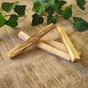 Palosanto